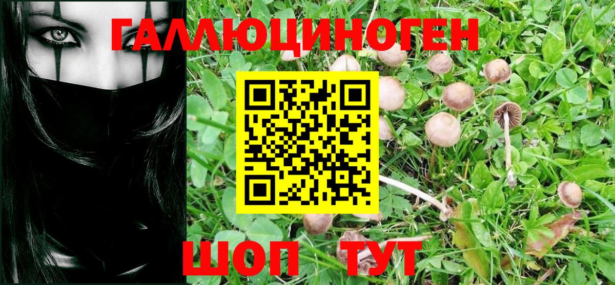 Псилоцибиновые грибы Psilocybe Урай