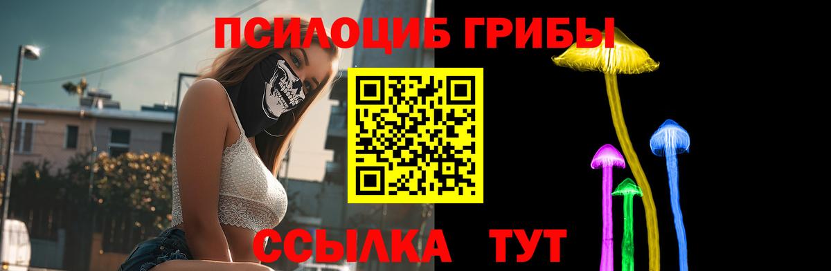 Галлюциногенные грибы Psilocybe  закладка  Урай  Вход с VPN 